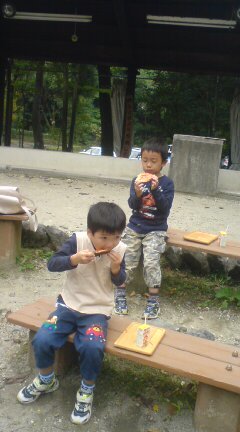 20081031114747