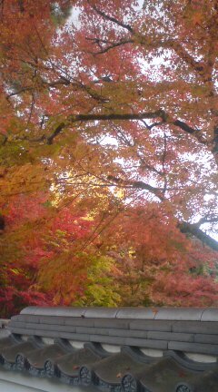 20081125123742_2