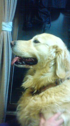 20090224202152