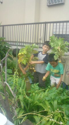 20090630104331