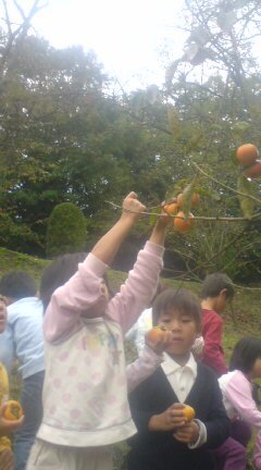 20091026110644