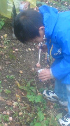 20091026113543