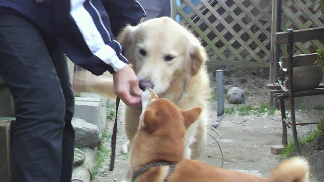 2010122716130000