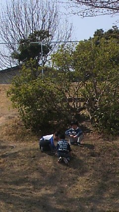 2011032912370000
