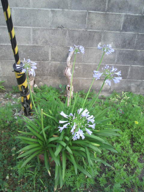 2011070306200000