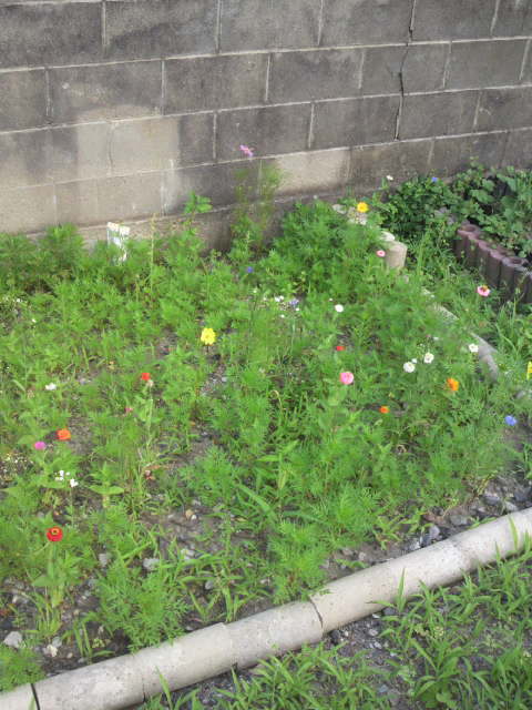 2011070306210000