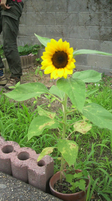 2011070410560000