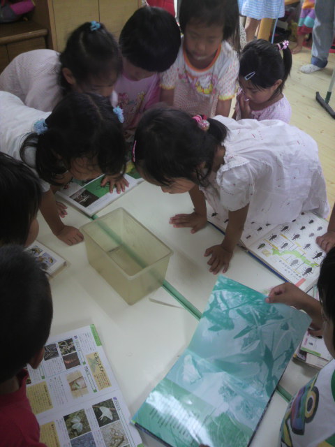 2011072012540000