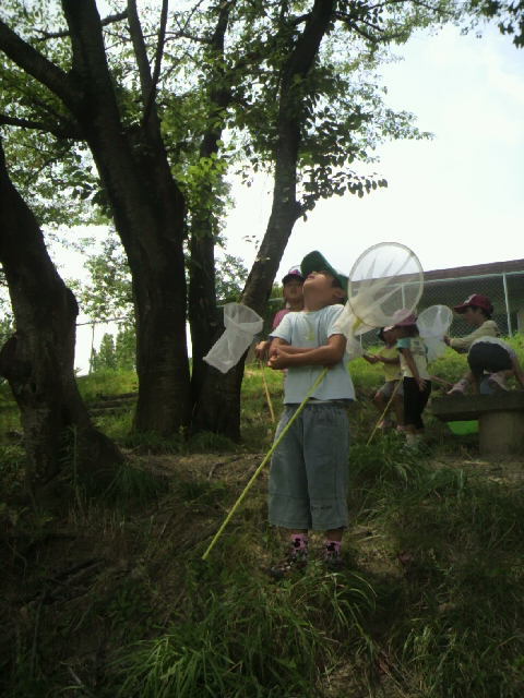 2011072812000003