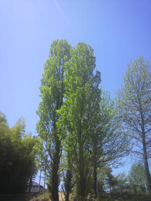 2012042711300000
