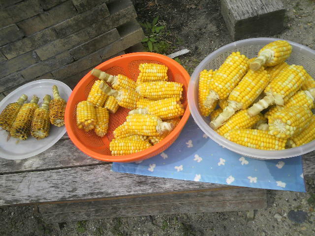 2012062709500000