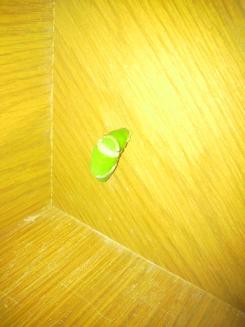 2012062908110000
