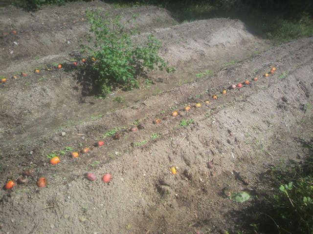 2012092611130000